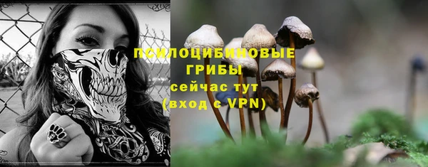 эйфоретик Баксан